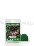 Country Candle Balsam Fir Wosk Zapachowy 64g