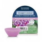 Yankee Candle Wild Orchid Wosk Zapachowy Pudełko 22g