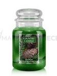 Country Candle Balsam Fir Duża Świeca Zapachowa 652g