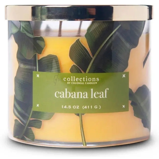 Colonial Candle Cabana Leaf Świeca Zapachowa Tumbler 411g