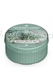 Country Candle Frosty Branches Świeca Daylight 42g
