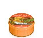 Kringle Candle Autumn Road Świeczka Daylight 42g