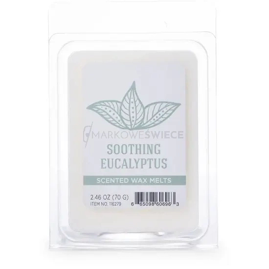 Colonial Candle Soothing Eucalyptus Wosk Zapachowy 70g