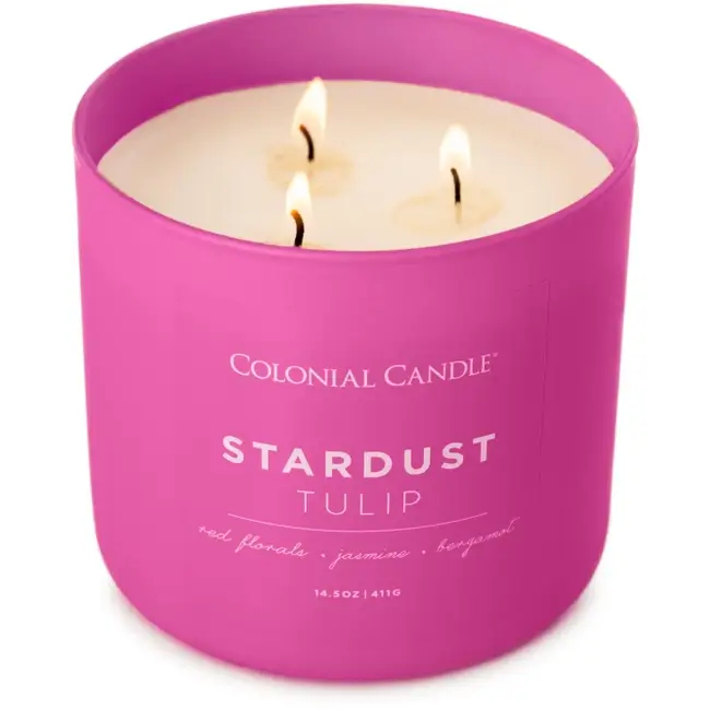 Colonial Candle Stardust Tulip Świeca Zapachowa Tumbler 411g