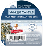 Yankee Candle North Pole Hideaway Wosk Zapachowy Pudełko 22g