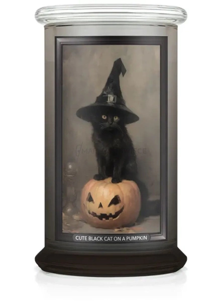 Kringle Candle Cute Black Cat on a Pumpkin Duża Świeca Zapachowa 624g