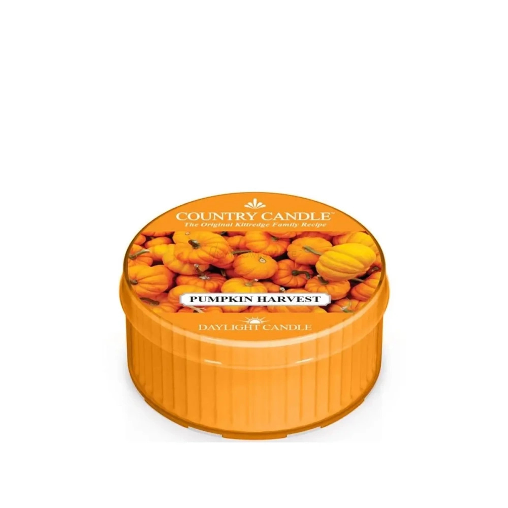 Country Candle Pumpkin Harvest Świeca Daylight 42g