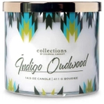 Colonial Candle Indigo Oudwood Świeca Zapachowa Tumbler 411g