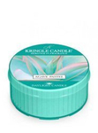 Kringle Candle Agave Pastel Świeczka Daylight 42g