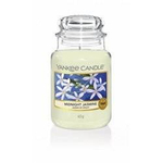 Yankee Candle Midnight Jasmine Duża Świeca Zapachowa 623g