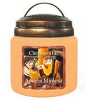 Chestnut Hill Apricot Mimosa Świeca Zapachowa 510g