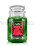 Country Candle Home For Christmas Duża Świeca Zapachowa 652g