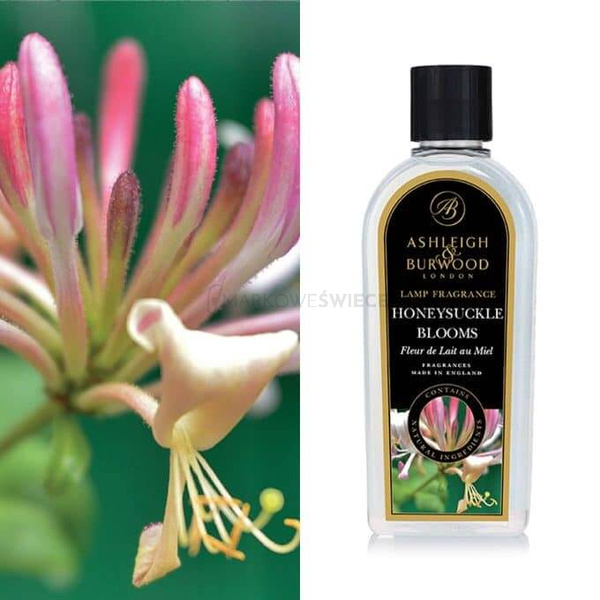 Ashleigh & Burwood Wkład do Lampy Zapachowej Honeysuckle Blooms 500ml