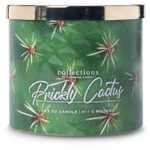 Colonial Candle Prickly Cactus Świeca Zapachowa Tumbler 411g