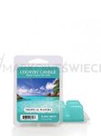 Country Candle Tropical Waters Wosk Zapachowy 64g