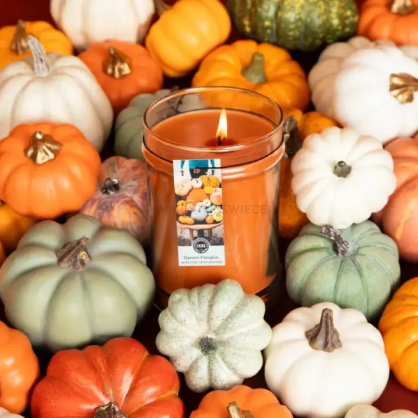 Bridgewater Candle Harvest Pumpkin Świeca Zapachowa 524g