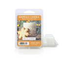 Kringle Candle Tea & Cookies Wosk Zapachowy 64g