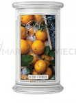 Kringle Candle Iced Citrus Duża Świeca Zapachowa 624g