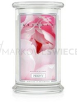 Kringle Candle Peony Duża Świeca Zapachowa 624g