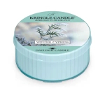 Kringle Candle Winter Cypress Świeczka Daylight 42g