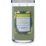 Colonial Candle Cedar & Citrus Świeca Zapachowa Tumbler 538g