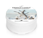 Kringle Candle Coral Świeczka Daylight 42g