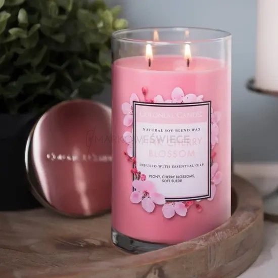 Colonial Candle Pink Cherry Blossom Świeca Zapachowa Tumbler 538g