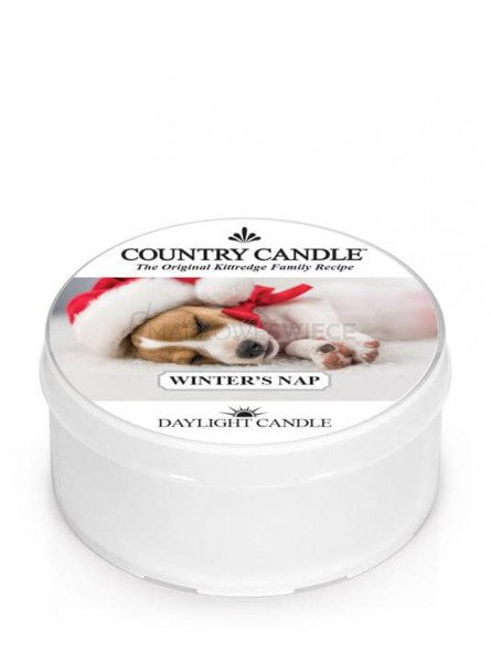 Country Candle Winter's Nap Świeca Daylight 42g