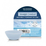 Yankee Candle Ocean Air Wosk Zapachowy Pudełko 22g