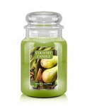 Country Candle Anjou & Allspice Duża Świeca Zapachowa 652g