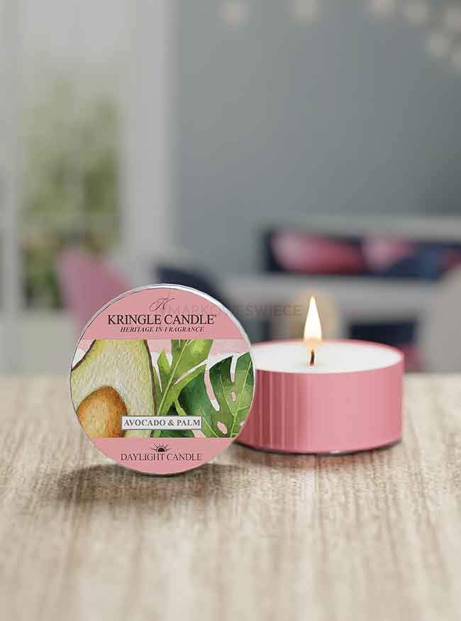 Kringle Candle Avocado & Palm Świeczka Daylight 42g
