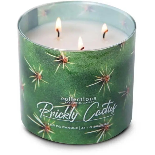 Colonial Candle Prickly Cactus Świeca Zapachowa Tumbler 411g