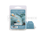 Country Candle Blue Spruce Wosk Zapachowy 64g