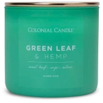 Colonial Candle Green Leaf Hemp Świeca Zapachowa Tumbler 411g