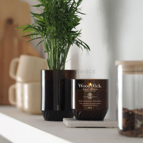WoodWick Renew Black Currant & Rose 184g
