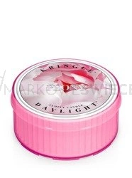 Kringle Candle Peony Świeczka Daylight 42g