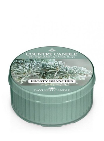 Country Candle Frosty Branches Świeca Daylight 42g